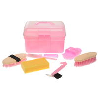 Lincoln Grooming Kit roz
