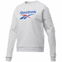 Reebok clasic Big Vector Crew FT Shirt gri FT6225 pentru femei