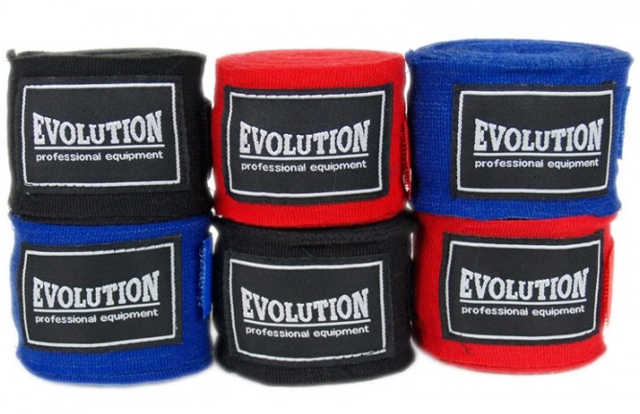 BOXING BOX EVOLUTION SB-300 albastru